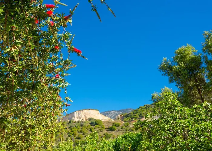 Russa Dionisis * Trapezaki (Kefalonia)