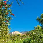 Russa Dionisis * Τραπεζάκι